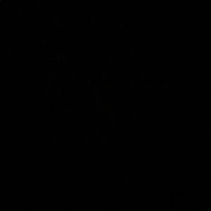 Meet your Posher, Libby